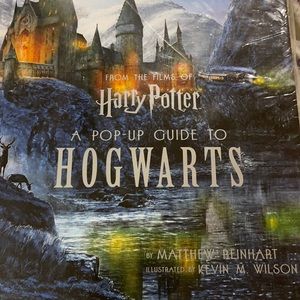 Harry Potter a pop up guide